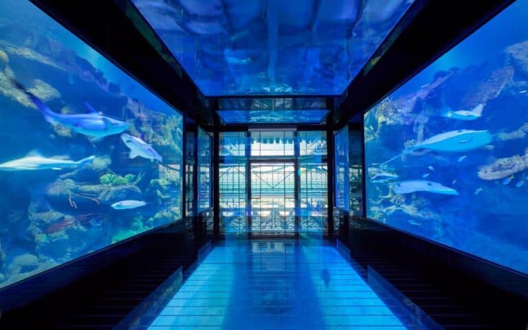 Hotels Near Aquarium