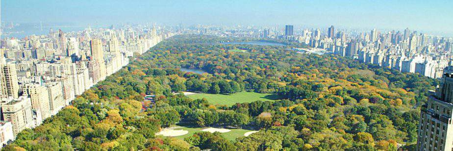 Hotels Near Central Park NYC