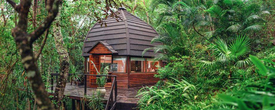 Hotels Near Enchanted Forest Water Safari
